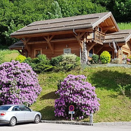Les Chalets Des Chatelmines La Bresse Eksteriør bilde
