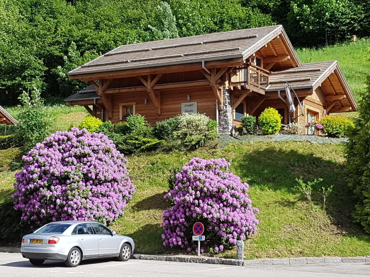 Les Chalets Des Chatelmines La Bresse Eksteriør bilde